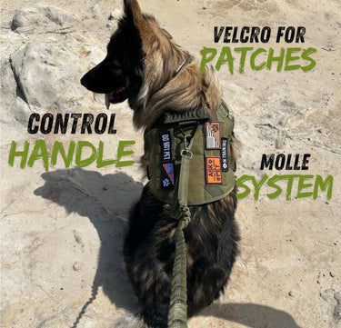 Tactical Dog Harness | Heavy Duty for Medium and Large Breeds | With No Pull Front Ring and MOLLE System